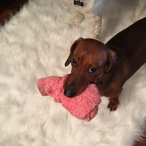 Meet your Posher, Rebecca